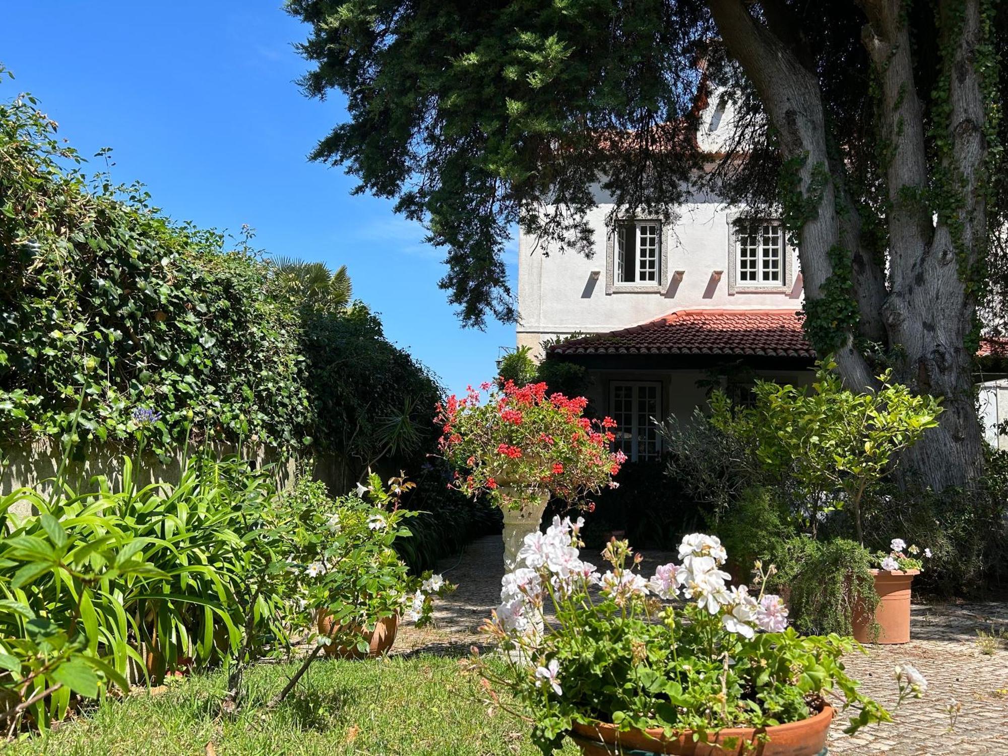 Villa Branca Jacinta Sintra Esterno foto