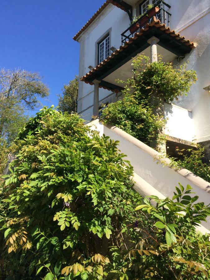 Villa Branca Jacinta Sintra Esterno foto