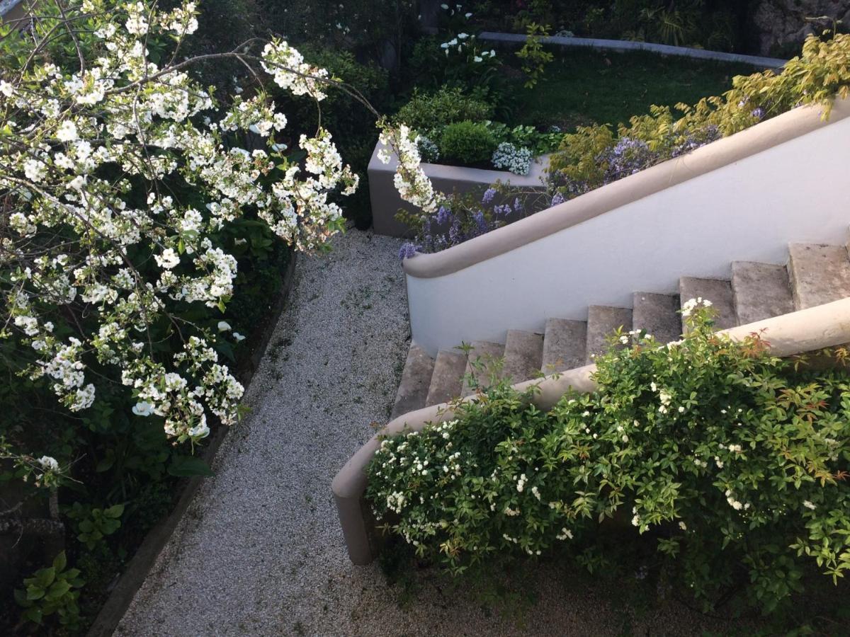 Villa Branca Jacinta Sintra Esterno foto